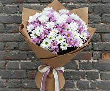 Букет цветов из:  Хризантемы в Российском Краснодарский край