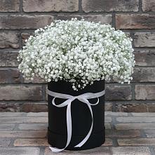 Цветочная композиция из Гипсофила в шляпной коробке в Российском Краснодарский край