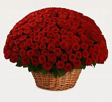 Премиум букет из: Розы #REPLACE_PRED# Российском Краснодарский край