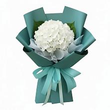 Букет цветов из:  Гортензия в Российском Краснодарский край